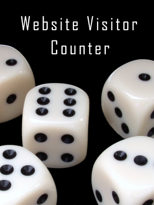 Website Visitor Counter