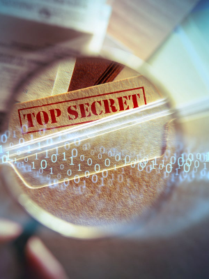 Website Insider Secrets